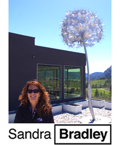 Sandra Bradley, Real Estate Professional - Vernon real estate and Okanagan real estate expert based at Sutton Group - Lakefront Realty